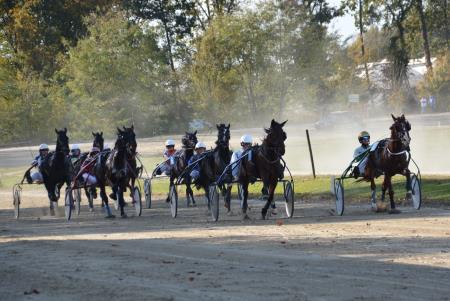 Kasaške dirke Ljutomer2